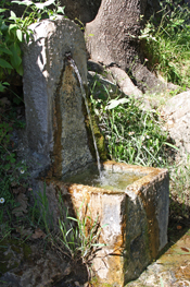 Fontaine au bord du chemin